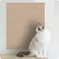 Carpete Arranhador e Protetor de Sofá para Gatos – Seu Gato Feliz e Seu Estofado Intacto