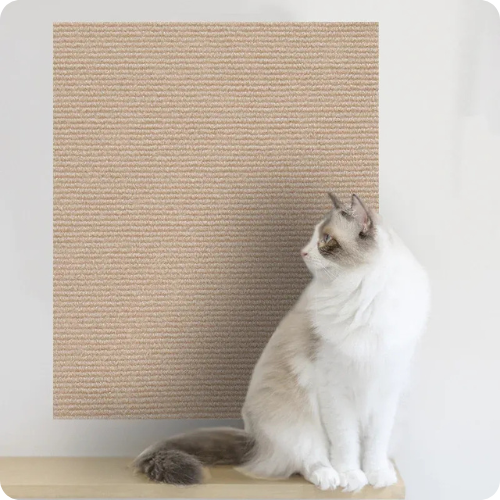 Carpete Arranhador e Protetor de Sofá para Gatos – Seu Gato Feliz e Seu Estofado Intacto